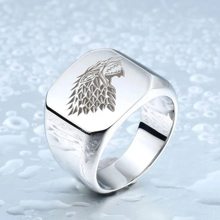 Cavaliere della famiglia Stark Cavaliere della famiglia Stark