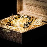 Bracciale \"Ira di Jörmungand\" - versione ORO Bracciale \"Ira di Jörmungand\" - versione ORO