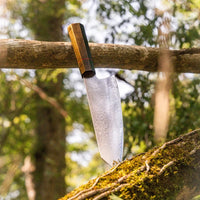 Coltello vichingo Ragnar - Eccellenza culinaria ed eredità nordica